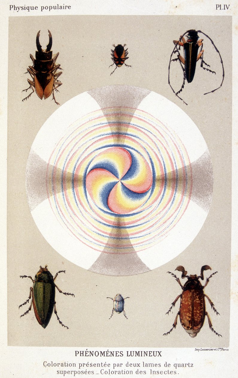 Farvning præsenteret af to overlejrede kvartsblade, farvende insekter - i "" La physique populaire"" af Emile Desbeaux af Unknown artist