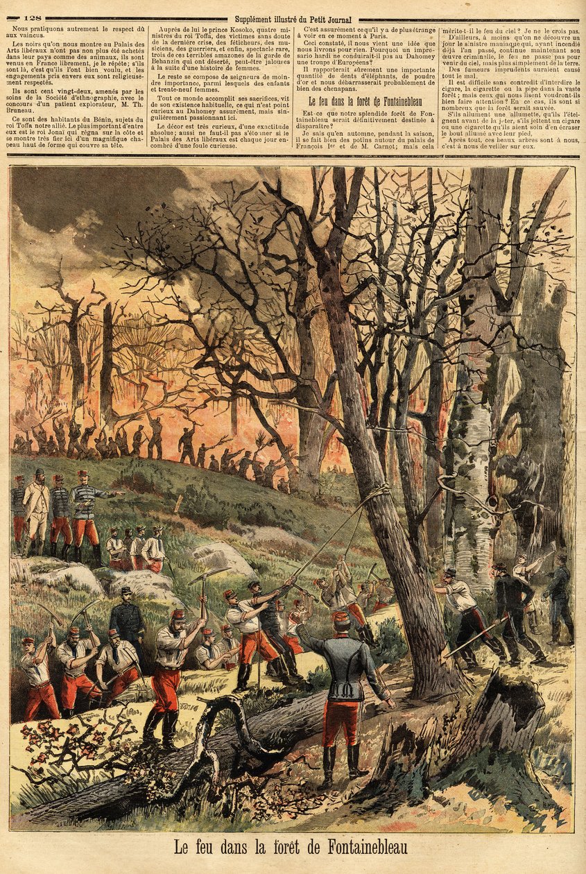 Kriminel brand i skoven i Fontainebleau. Indgravering i "" Le petit journal"" 22/04/1893. Selvas samling. af Unknown artist