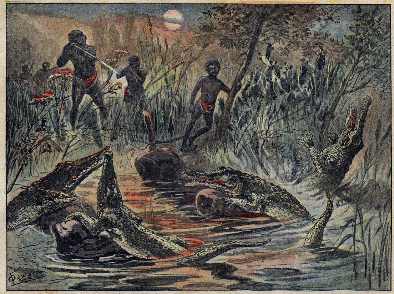 Krokodillejagt i Niger med et barn til madding. Illustration i "" Le Pelerin"" af 4. december af Unknown artist