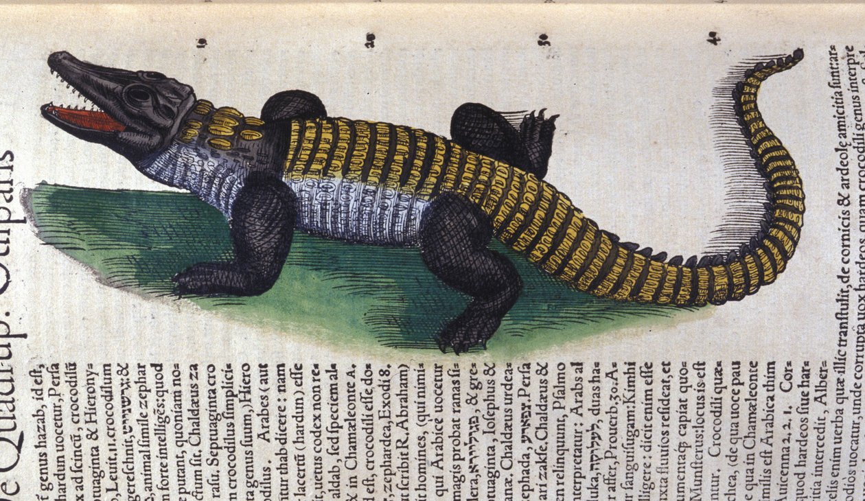 Krokodille i Historia Animalium af Conrad Gesner (1516 - 1565), Tiguri af Unknown artist