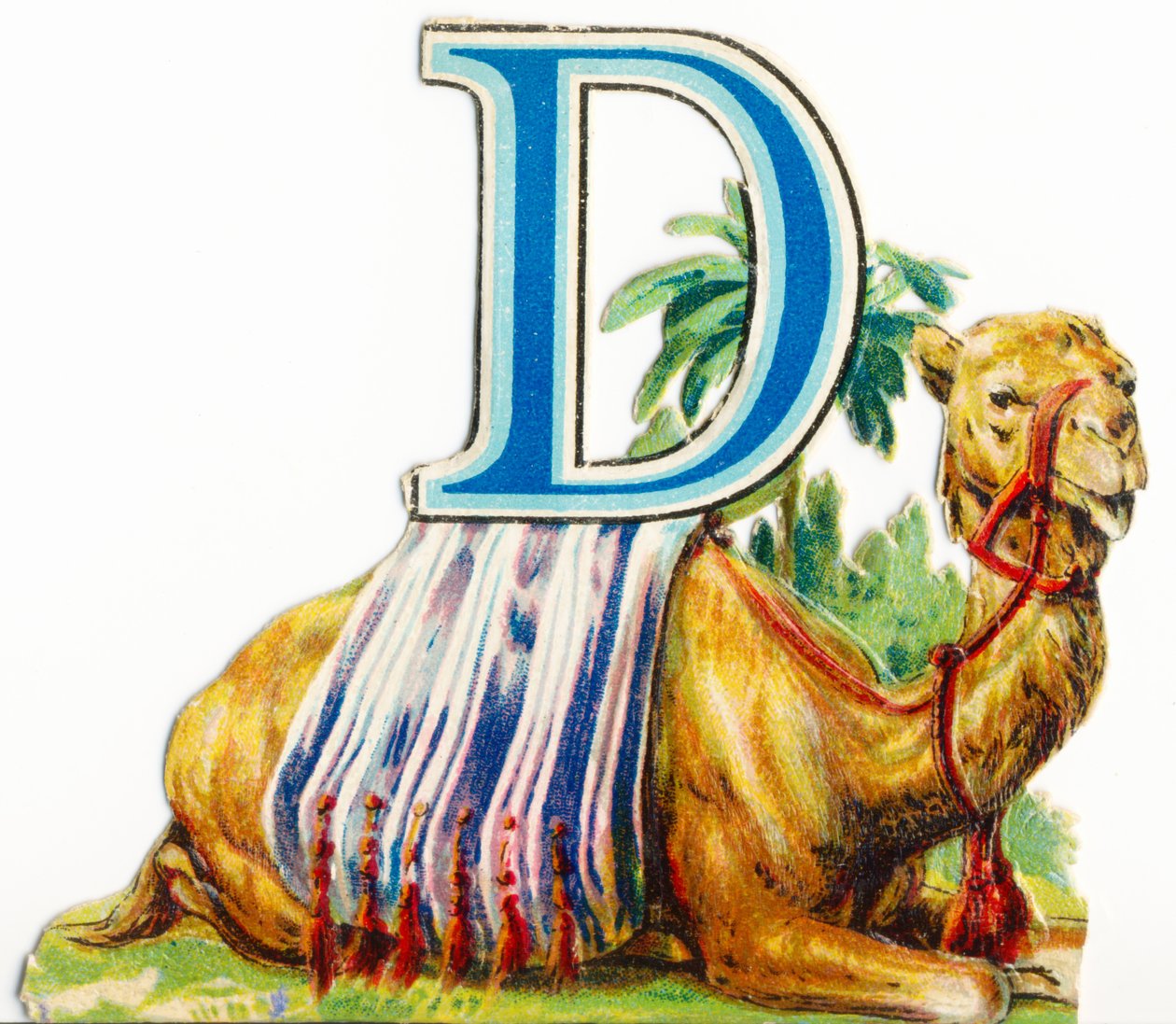 D: Dromedar af Unknown artist