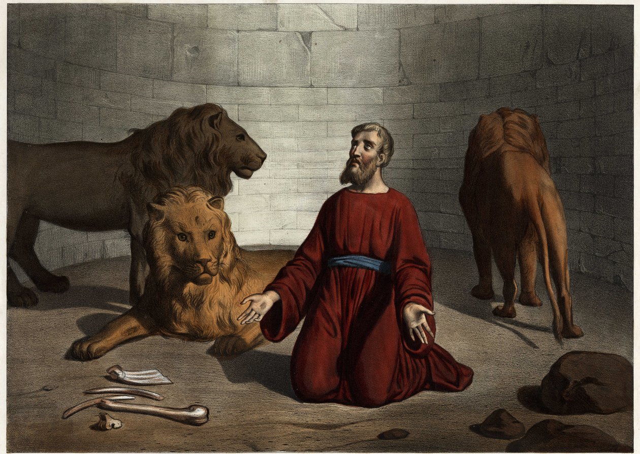 Daniel, kastet for løver af kongen, er beskyttet af en herrens engel, som beroliger dyrene. Anonym stik fra midten af 1800-tallet. af Unknown artist