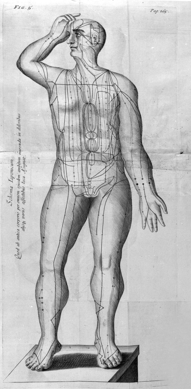 De Acupunctura af W.Ten Rhijn. London 1683. Første vestlige tekst, der omhandler akupunktur. af Unknown artist