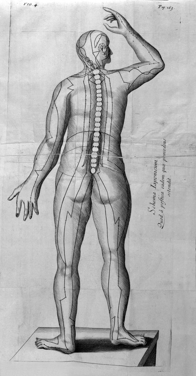 De Acupunctura af W.Ten Rhijn. London 1683. Første vestlige tekst, der omhandler akupunktur. af Unknown artist