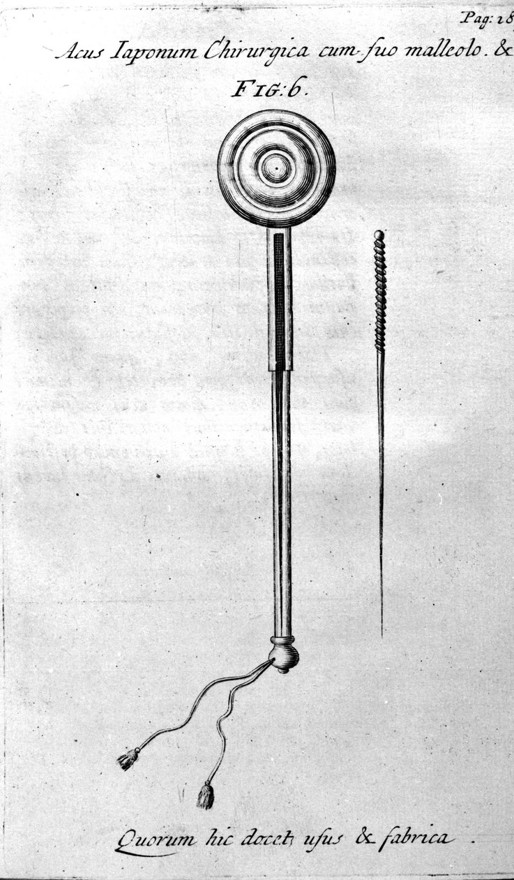 De Acupunctura af W.Ten Rhijn. London 1683. Første vestlige tekst, der omhandler akupunktur. af Unknown artist