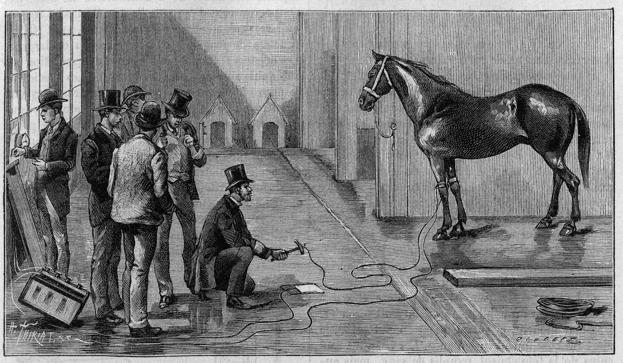 Death by Electricite: En hest dræber af electricite under et eksperiment udført på Laboratory of Edison, Orange (USA). Indgravering i "" La Nature: revue des sciences et de leurs applications aux arts et a l