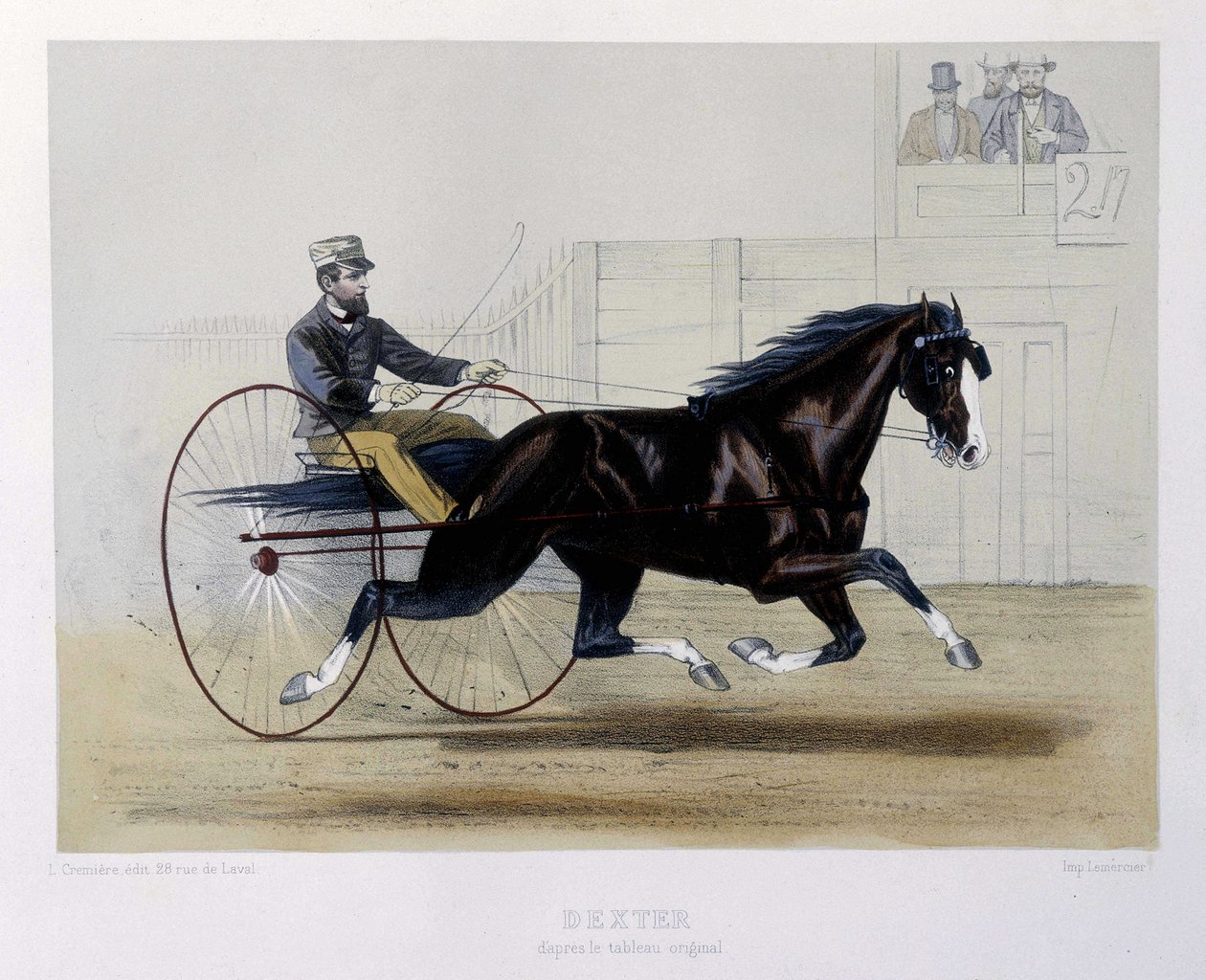 Dexter trotteur - i "" Kentauren"" af Unknown artist