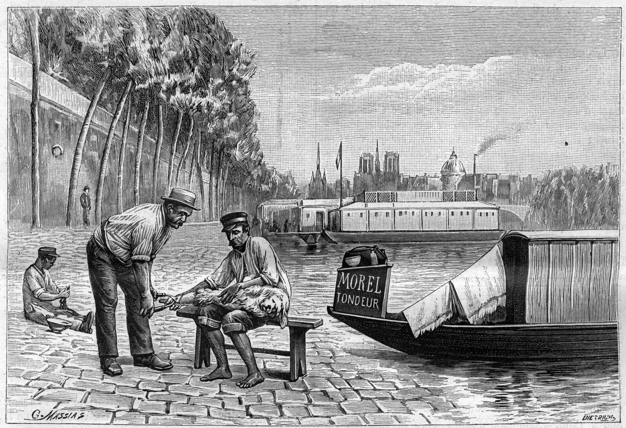 Hundeskæring nær Solferino-broen i Paris - indgravering i "La nature"" fra 1892. af Unknown artist