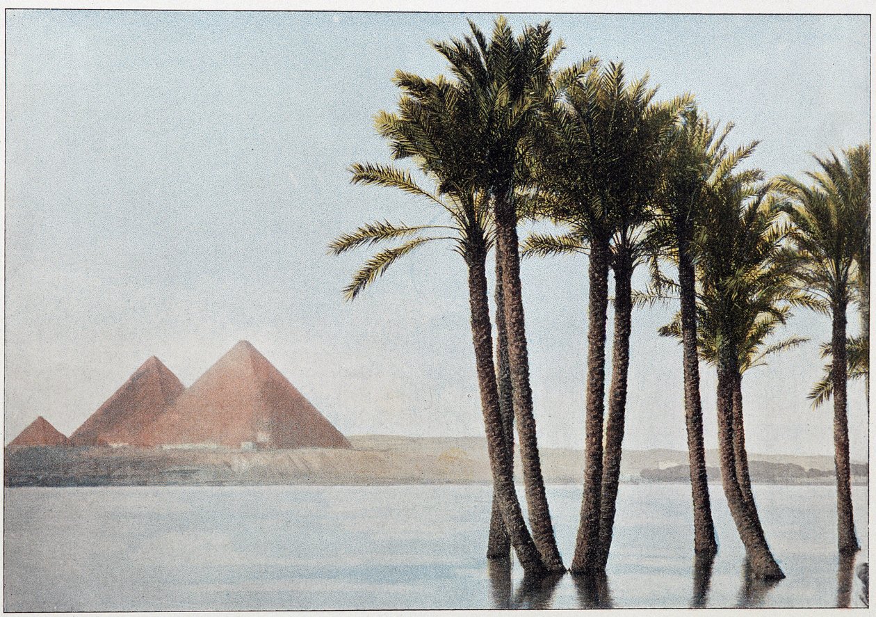 Egypten: oversvømmelsen af Nilen og pyramiderne i Giza (Gizeh, Gizeh, Giza). af Unknown artist