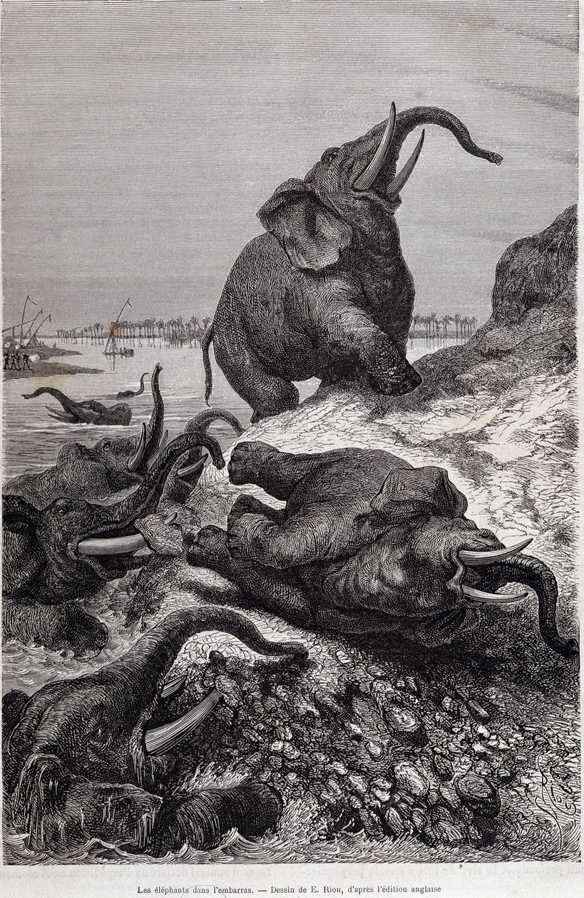 Elefanter, der klatrer på bredden af en flod, på grund af en ekspedition til Centralafrika bestilt af Sir Samuel White Baker, "Tour du monde" af Unknown artist
