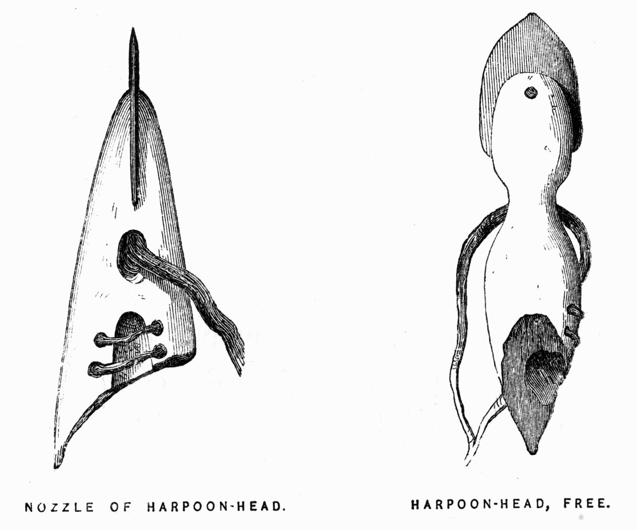 Eskimo Harpuner - Elisha Kent Kane, Artic Exploration i årene 1853-1855, Philadelphia, Childs og Peterson af Unknown artist