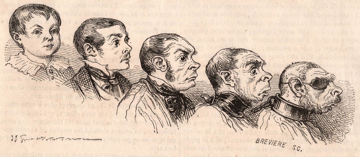 Evolution af et barn til voksen alder og degeneration af den voksne til at være et udyr af Unknown