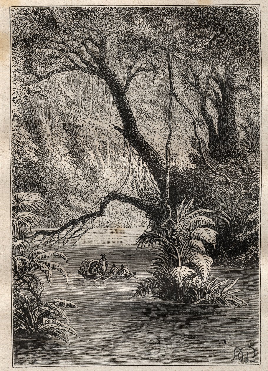 Ekspedition til Amerika (1799-1804) af Alexander von Humboldt (1769-1859) og Aime Bonpland (1773-1858): opdagelsesrejsende går ned i Orenoque, omgivet af de gigantiske træer i Amazonas-skoven (Cano Pimichin, Venezuela) - illustration taget fra "The Great af Unknown artist