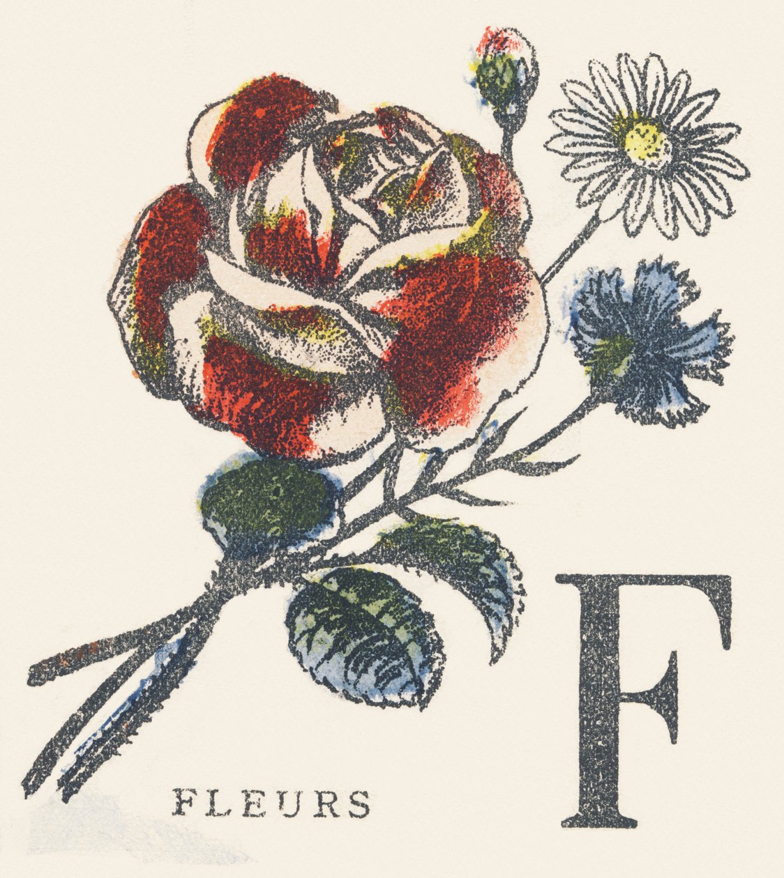 F: blomster af Unknown artist