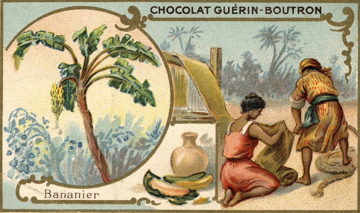 Stof lavet med fibre fra bananskind. Kromolitografi, indpakning af Guérin Boutron chokolader. af Unknown artist