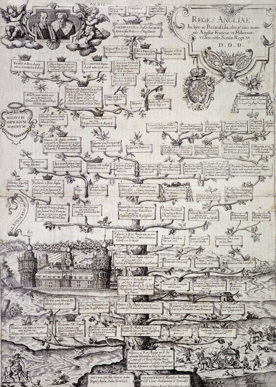 Stamtræ for den kongelige familie i England fra det 12. til det 17. århundrede - gravering af Unknown artist