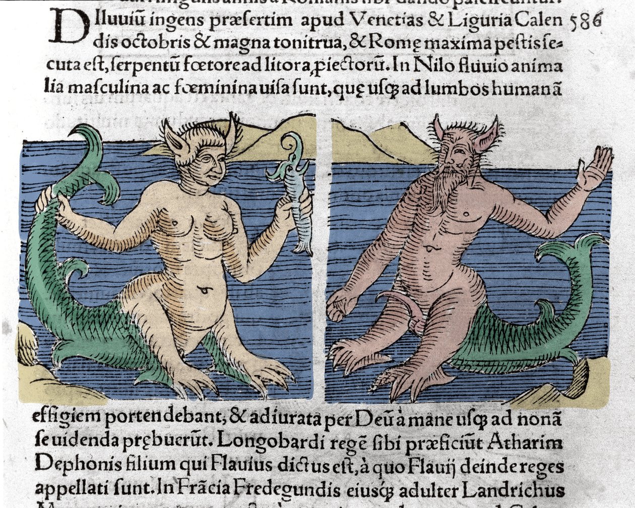 Fantastiske væsner: En vandsalamander og en sirene set i Nilen. Gravering fra ""Le livre des prodiges"" (Chronicle of prodigies and showmen of Basel) af Wolfhart (Conrad Lycosthene) 1557 af Unknown artist