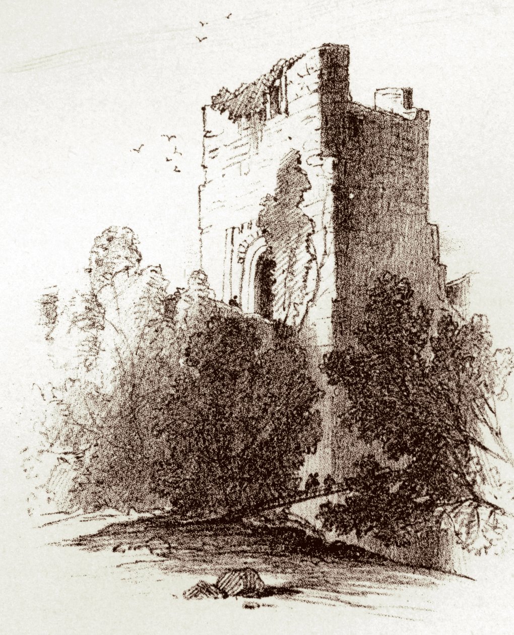 Farnham Castle (gravering) af Unknown artist