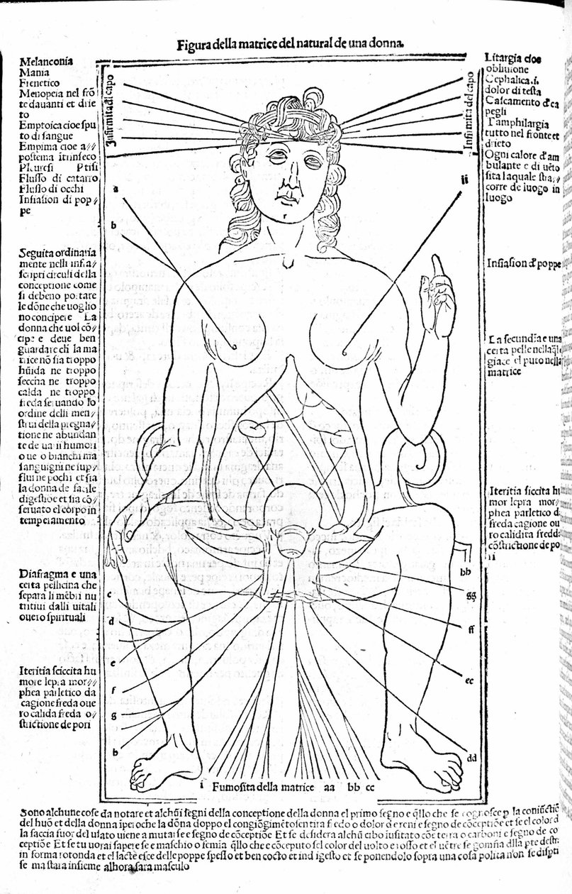 Kvindelige reproduktionsapparater - i Treatise of Medicine af Gerolamo Cardano (Cardano) (Cardanus Hieronymus), Firenze 1585. af Unknown artist