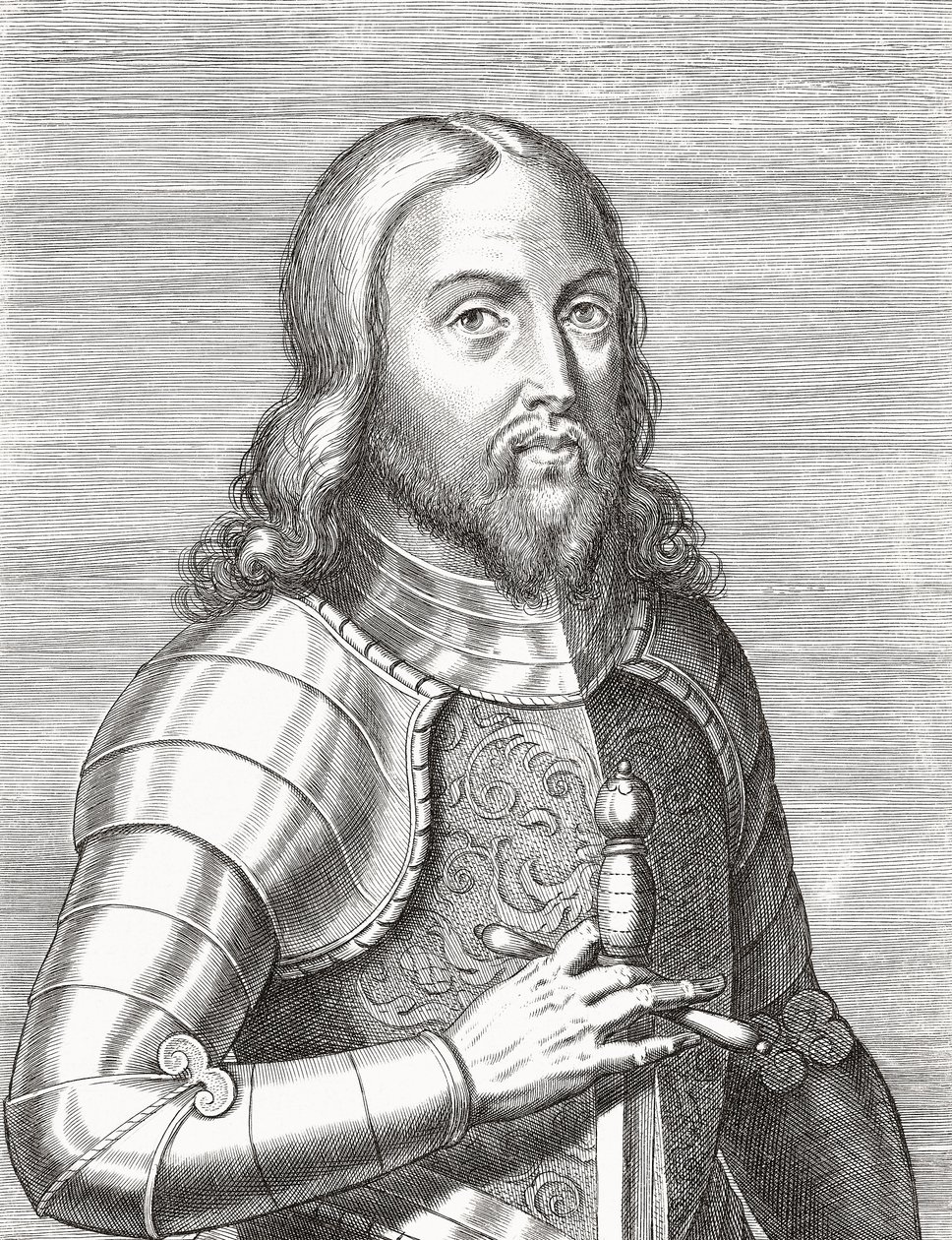 Ferdinand den hellige prins af Portugal. Portræt. af Unknown artist
