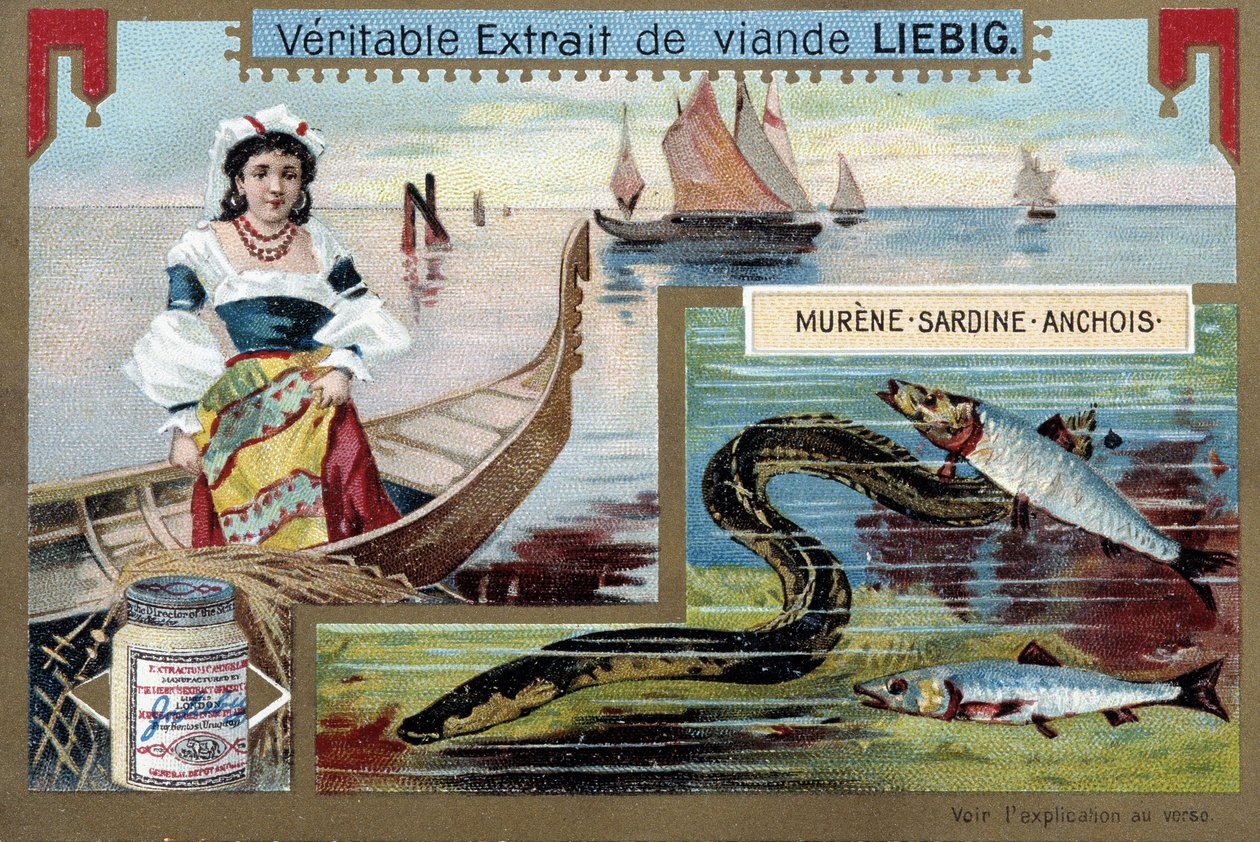Fiskerbåde og fisk (muræne, sardin, ansjos) - chromo. Liébig, v.1900 af Unknown artist