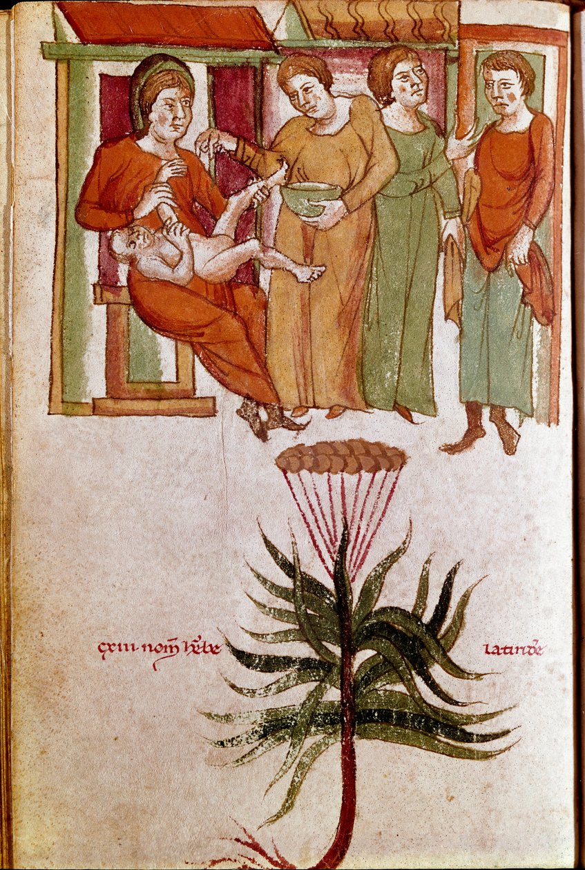 Fire kvinder, der passer et barn, handel med børnepasning. (miniature, begyndelsen af det 13. århundrede) af Unknown artist