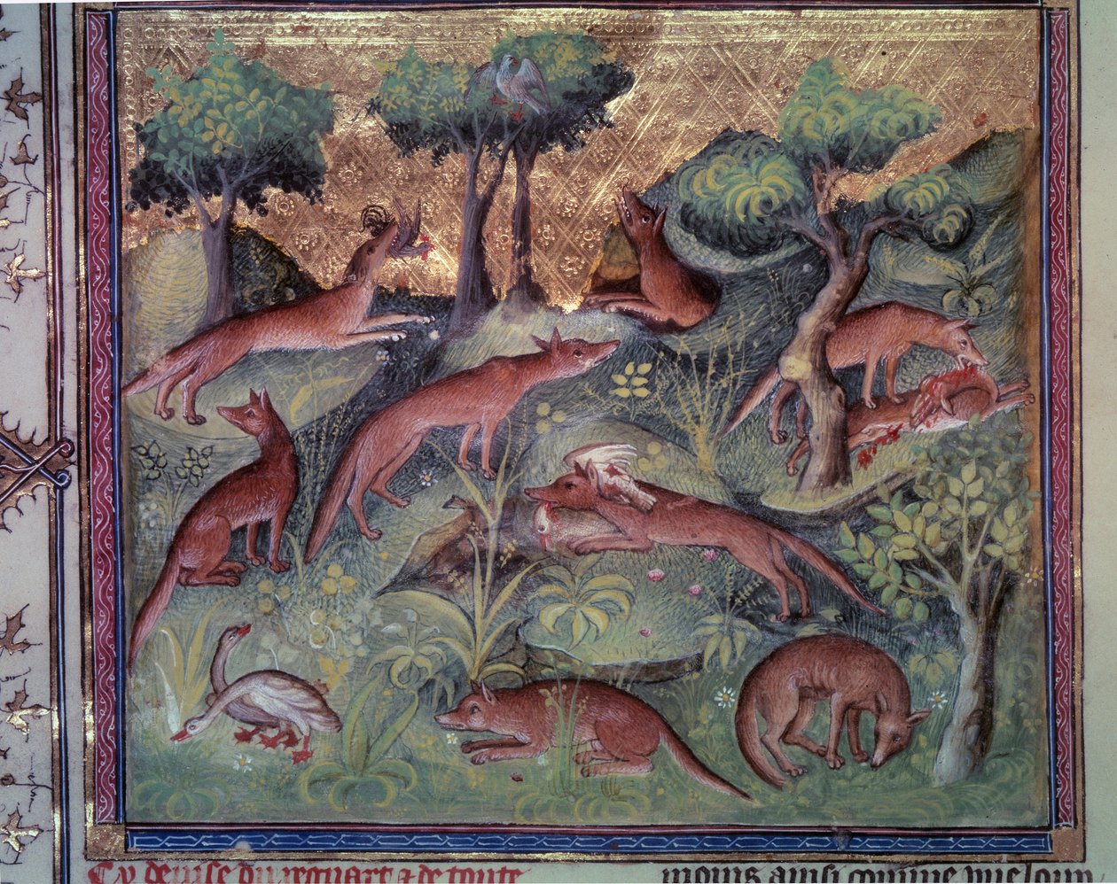 Rævejagt fjerkræ. Miniature fra manuskriptet "" Le livre de la chasse"" (folio 34v) af Gaston Phoebus (1331-1391) dit Gaston III Comte De Foix af Unknown artist