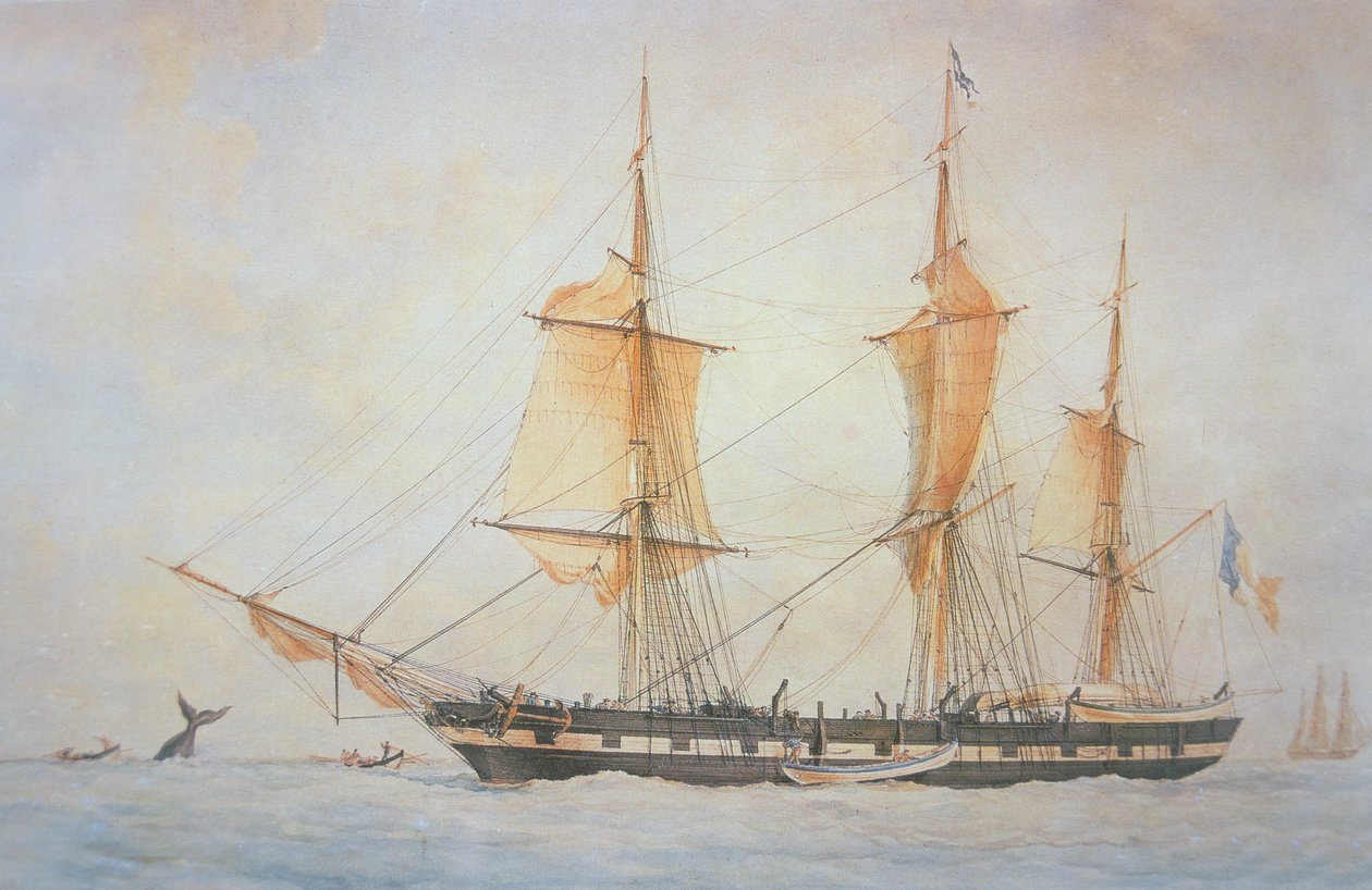 Fransk hvalfangstskib, ca. 1845 (farve litho) af Unknown artist