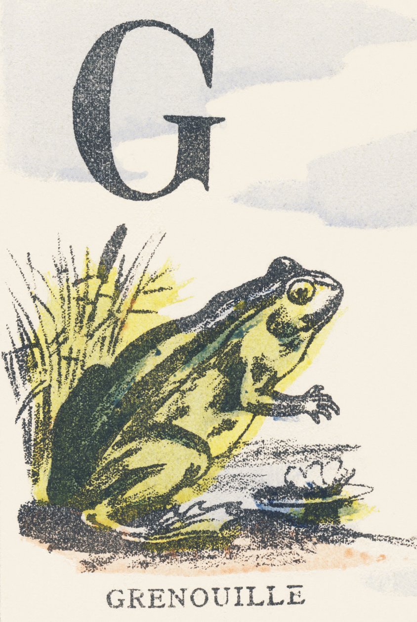 G: frø af Unknown artist
