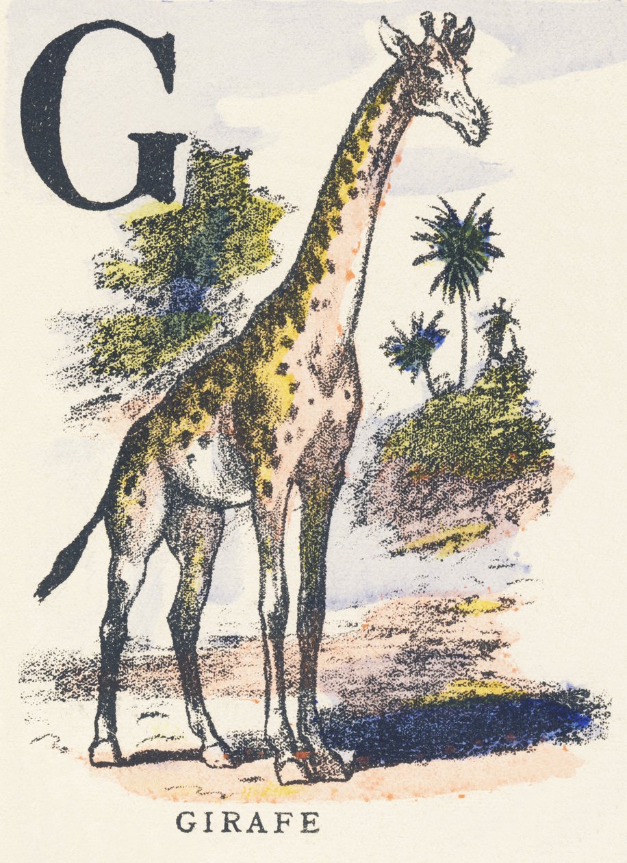 G: giraf af Unknown artist
