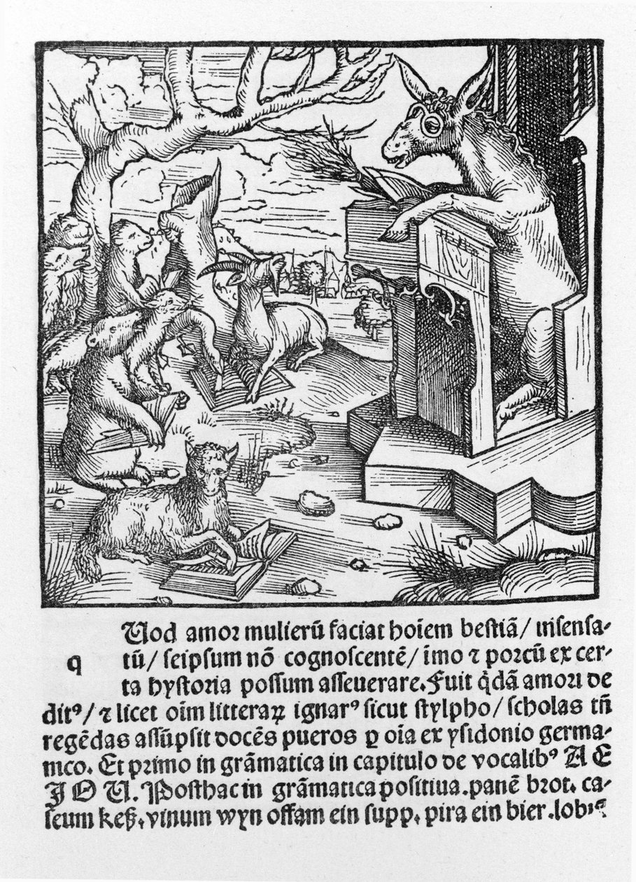 Tysk inkunabel, der forestiller et æsel, der underviser en klasse af skovdyr. 1490. af Unknown artist