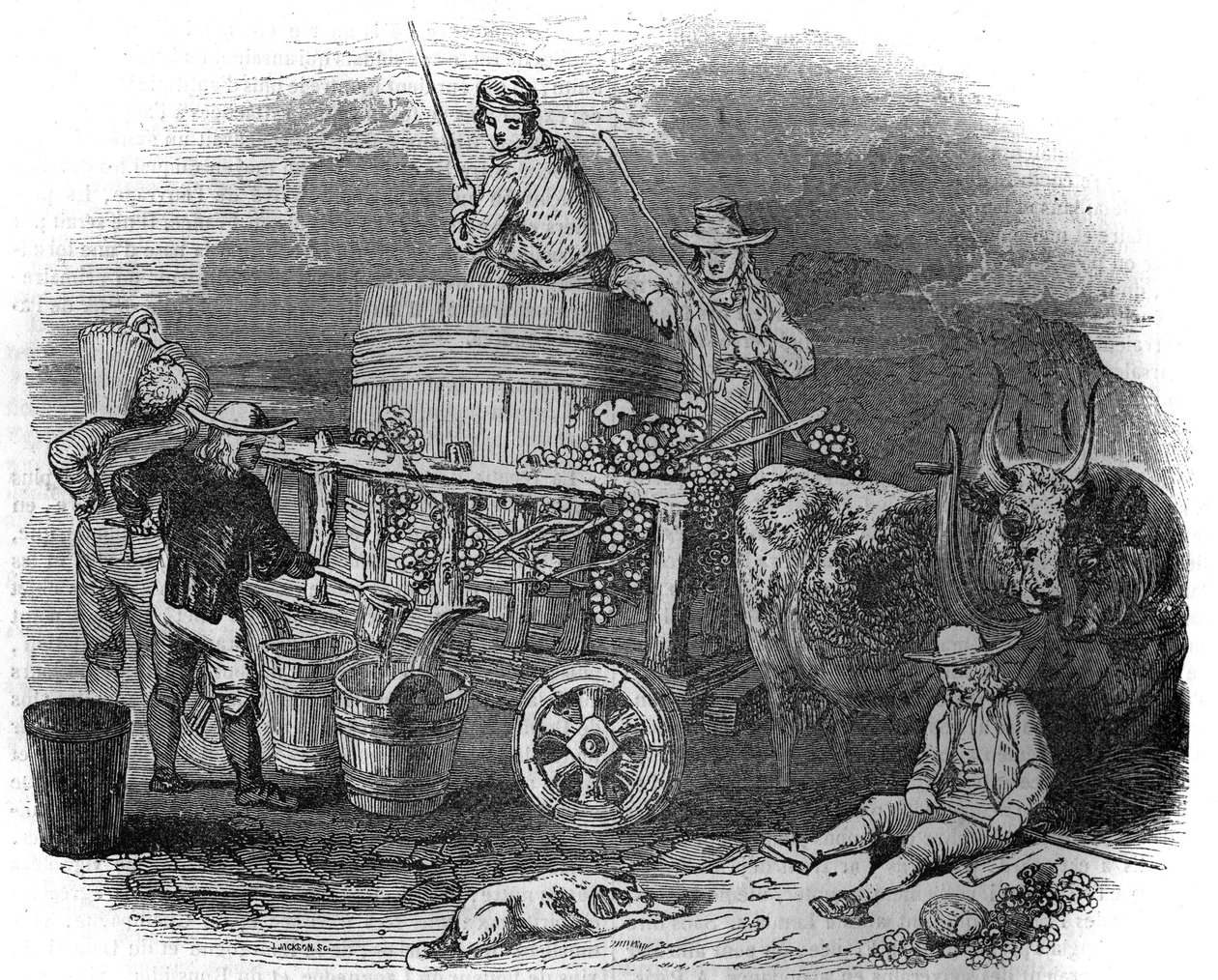 Høstmaskine i Pola (Pula) (Istrien) i Kroatien i det 19. århundrede. af Unknown artist