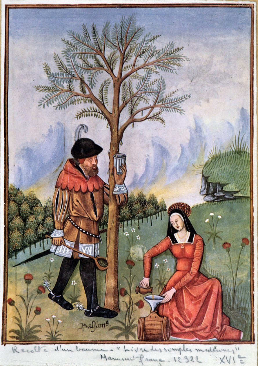 Høste en balsam - Bog med simple lægemidler af Unknown artist