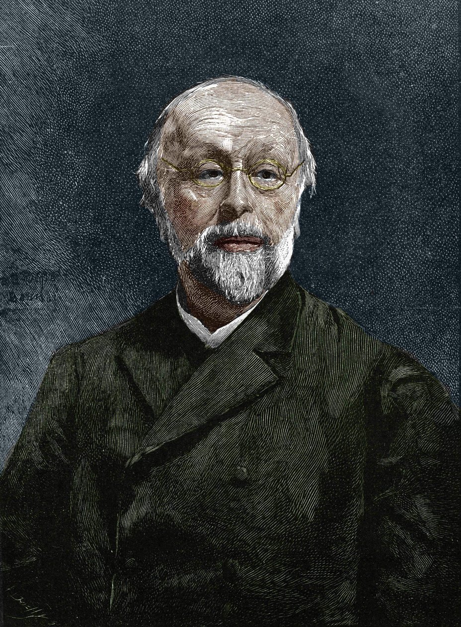 Hippolyte Taine (1828-1893), fransk filosof og historiker. af Unknown artist
