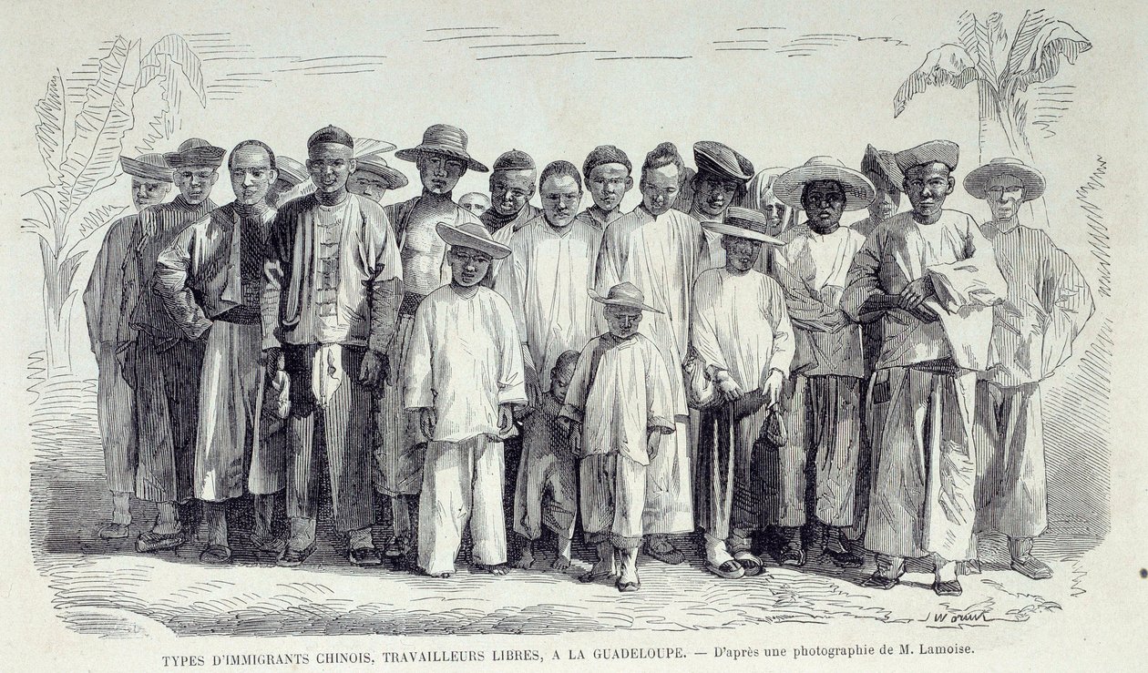 De franske koloniers historie: Kinesiske immigranter, der arbejder i Guadeloupe. Tegning efter fotografi af det sene 19. århundrede Chartres musee des Beaux Arts af Unknown artist