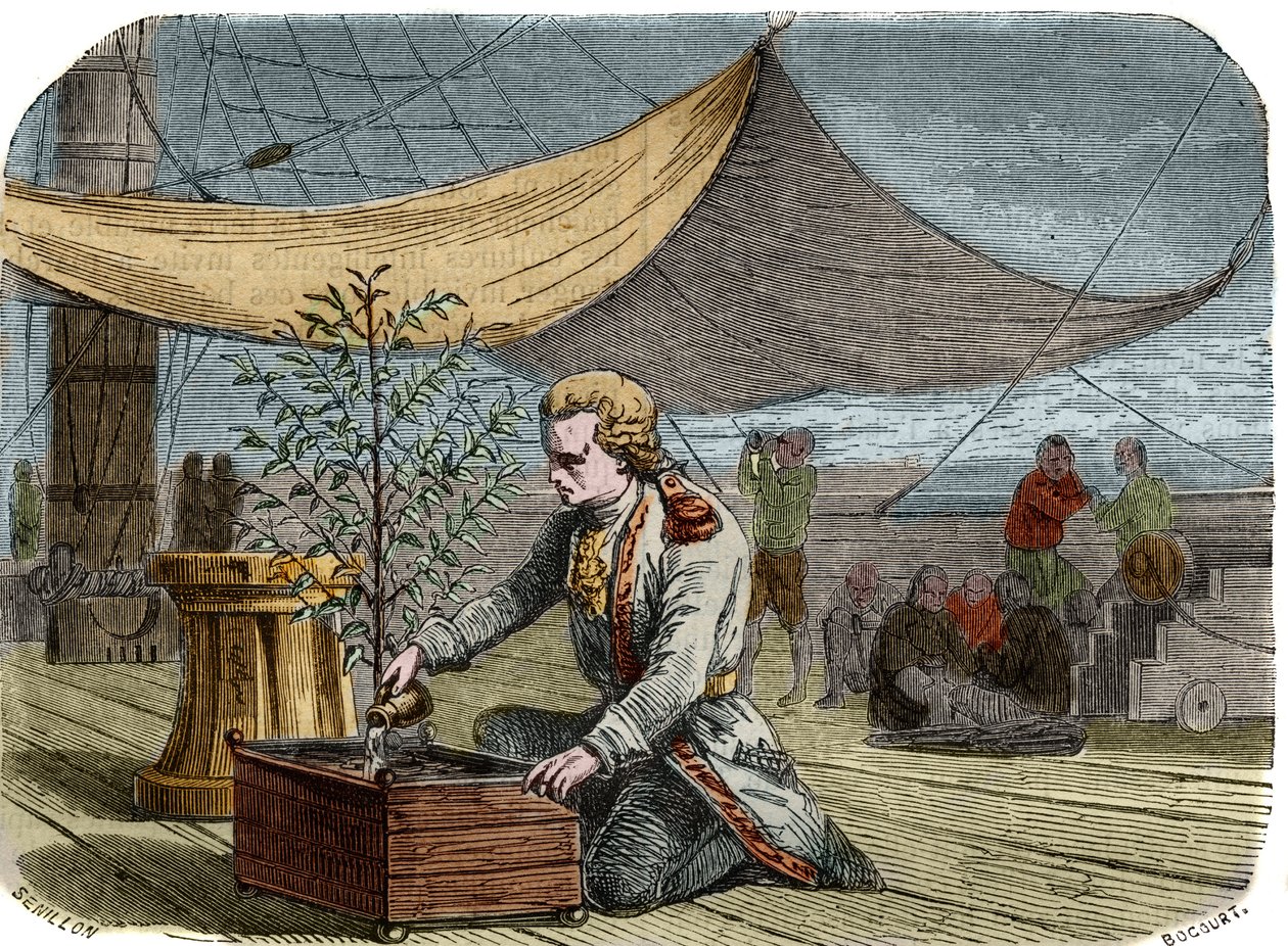 Caféens historie: Kaptajn Gabriel de Clieu (Declieux, Desclieux) (1687/1678 - ca. 1774), bestilt af kong Ludvig XIV i 1725 for at bringe en kaffeplante (kaffemaskine) tilbage til Martinique, deler sin ration vand med ham for at redde ham fra at tørre. Engr af Unknown artist