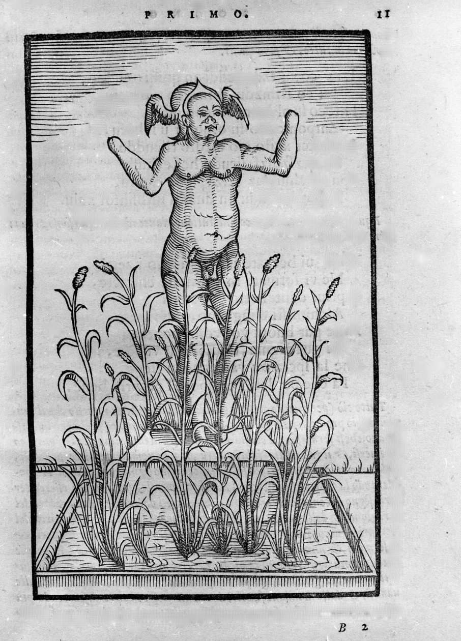Homme sans bras - i ""De Transmutatione Metallica Sogni Tre"", af Giovanni Battista Nazari, redigeret i Brescia i 1599 af Unknown artist