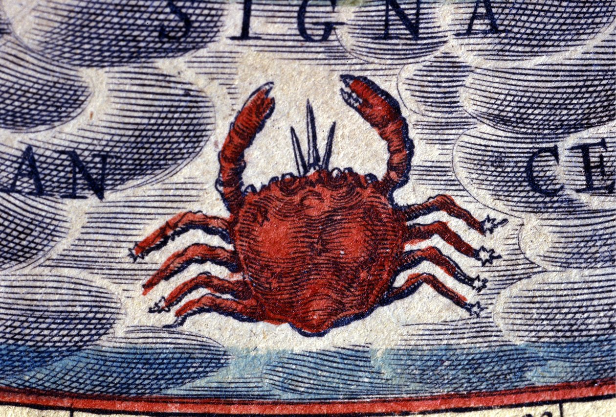 Horoskop: stjernetegn, kræft. 1500-tals stik. af Unknown artist