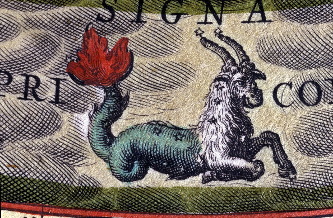 Horoskop: stjernetegn, Stenbukken. 1500-tals stik. af Unknown artist