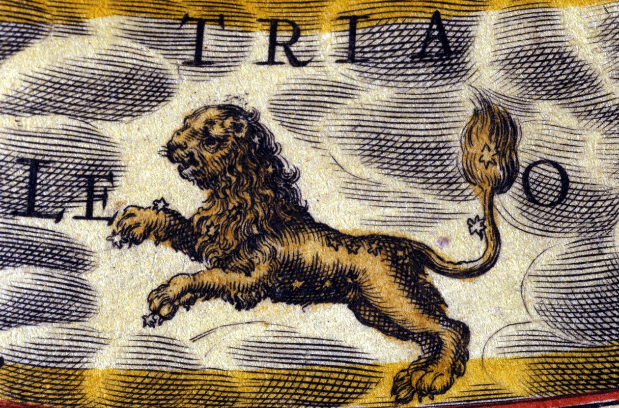Horoskop: stjernetegn, Løven. af Unknown artist