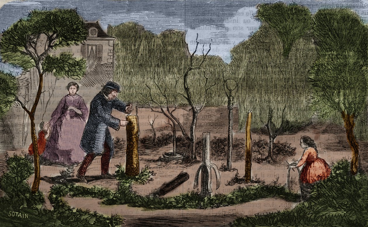 Havebrug: vigtigste metoder til plantetransplantation. 1860 gravering. af Unknown artist