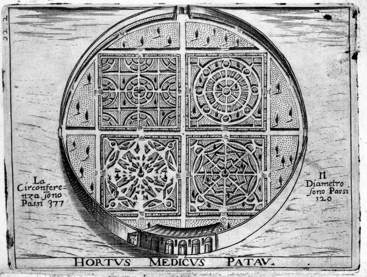 Hortus Medicus Patav: Padovas medicinske have. af Unknown artist