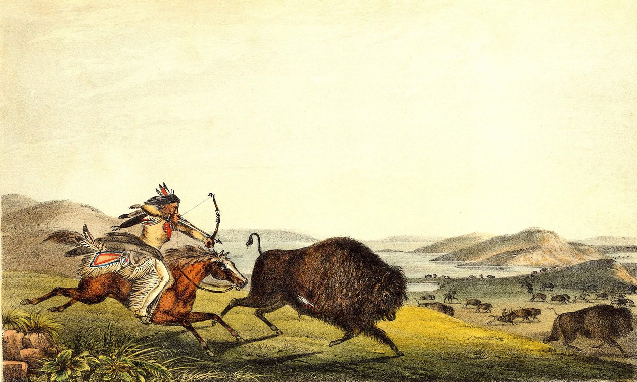 Jagt bison i Nordamerika. sd. 19. århundrede. af Unknown artist