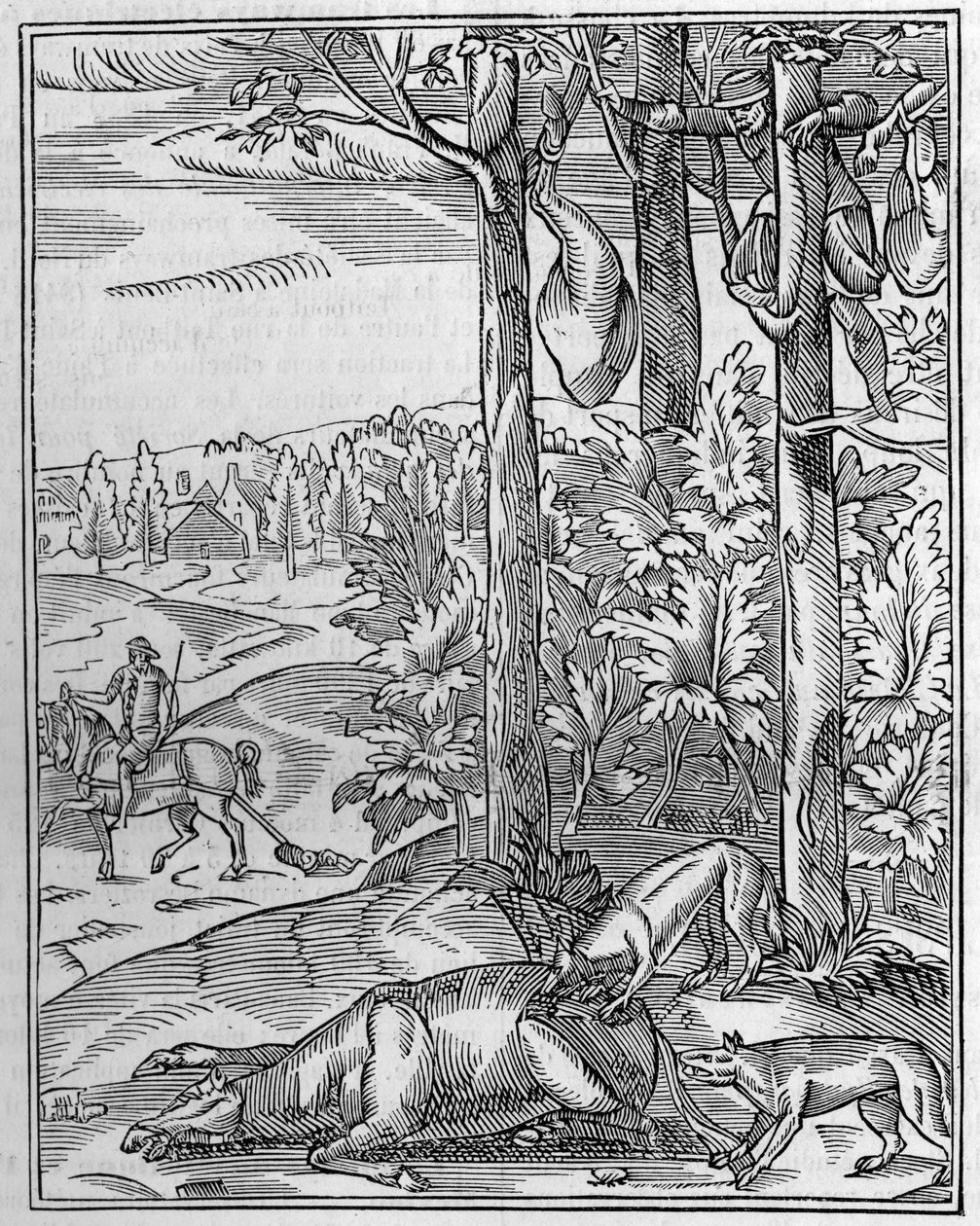 Jagt på ulven: udkigsstedet. Faksimile (Facsimile) af et træstik fra det 16. århundrede. Gravering i "" Nature: gennemgang af videnskaberne og deres anvendelser til kunst og industri "" af 9. april 1892. af Unknown artist