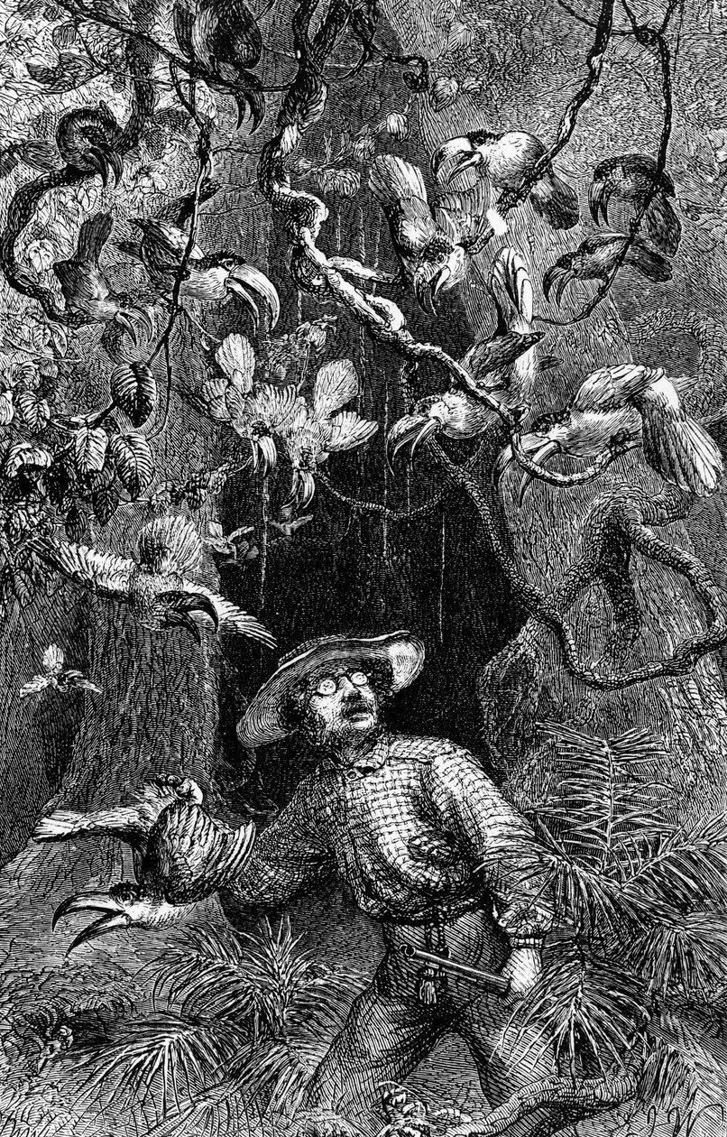 Illustration The Naturalist on the River Amazon" af Henry Walter Bates (kobberstik) af Unknown artist
