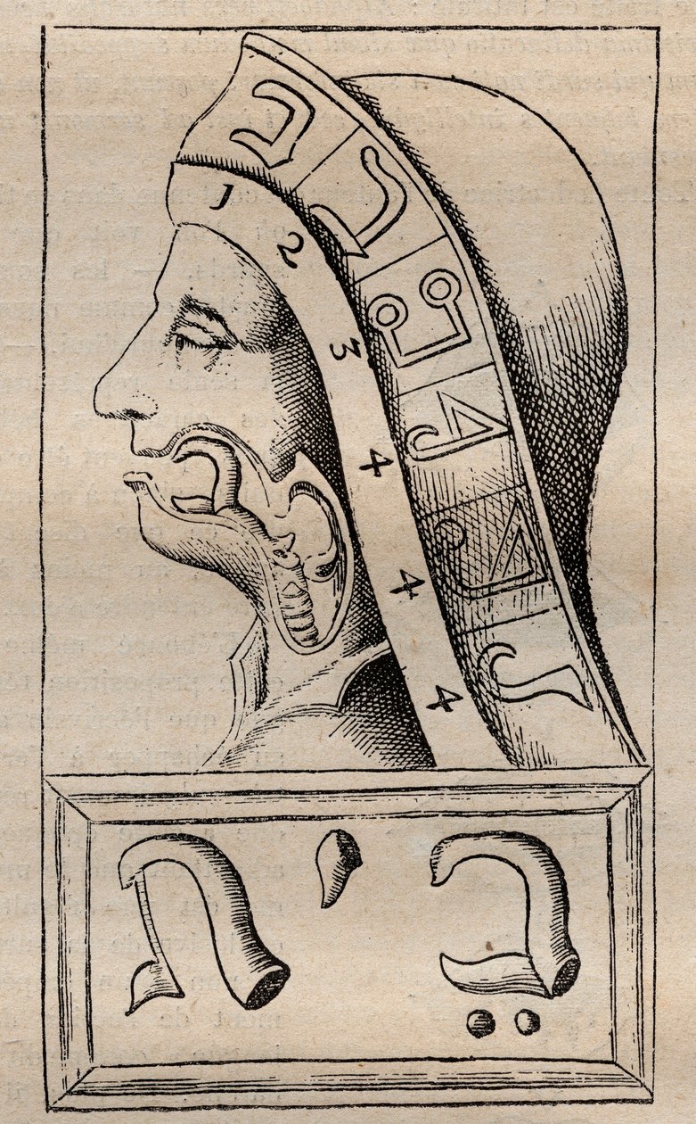 Illustration fra: "" Alphabeti vere naturalis Hebraici brevissima delineatio"" (Naturens alfabet) af Franciscus Mercurius van Helmont (1618-1699) af Unknown artist