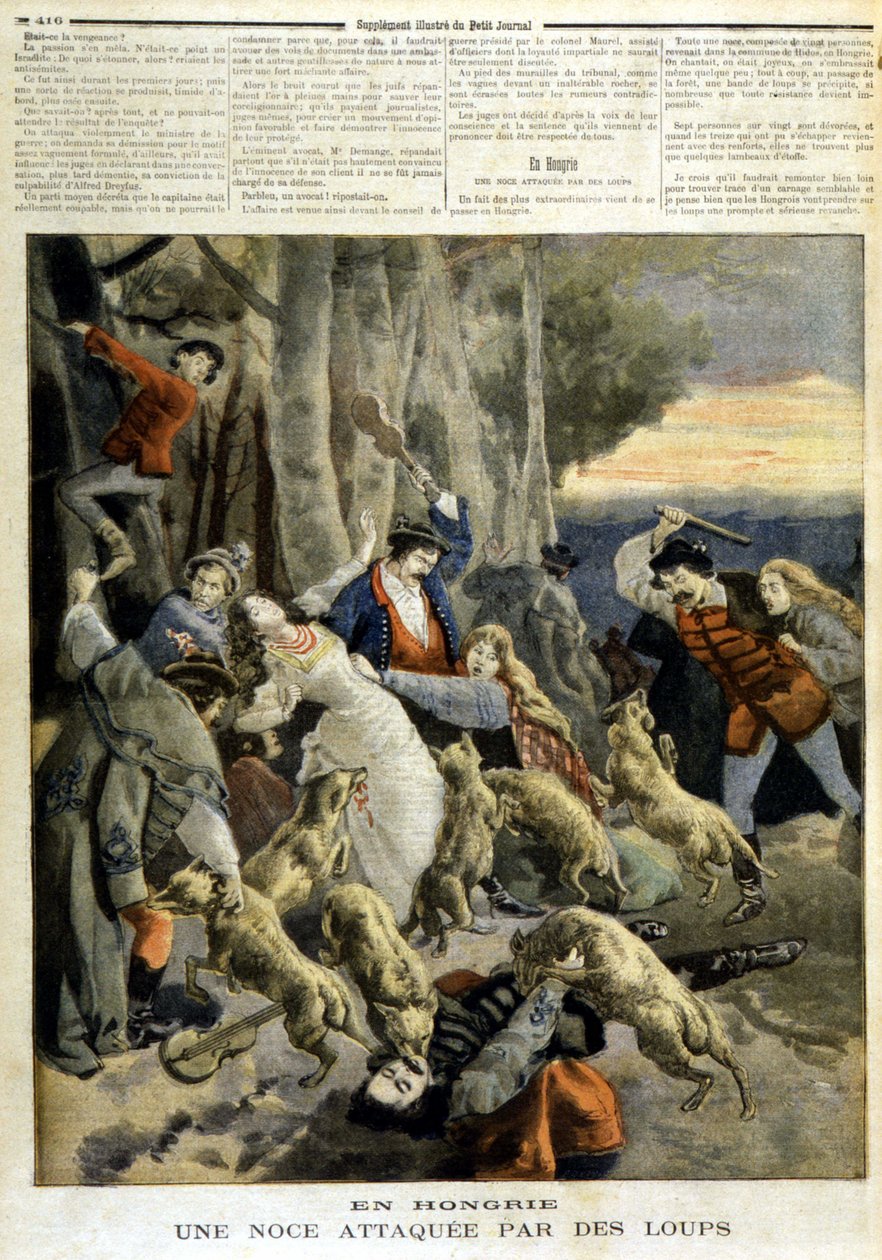 I Ungarn: et bryllup angrebet af ulve - i "" Le Petit Journal"" af 23/12/1894 af Unknown artist