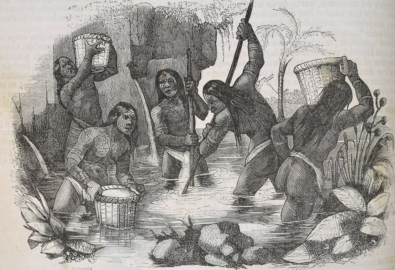 Indianere fra øen Hispaniola panorerer efter guld af Unknown artist