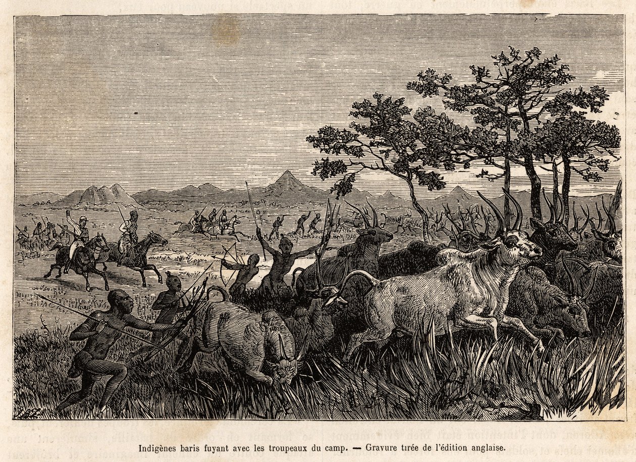 Indfødte baris (befolkning af Sudan) våben af bue og pile, der flygter med flokkene konfiskeret af Sir Baker, for at forhindre dem i at angribe andre stammer i regionen, for at plyndre dem og slaveri, en gravering, der illustrerer en bevæbnet ekspedition af Unknown artist