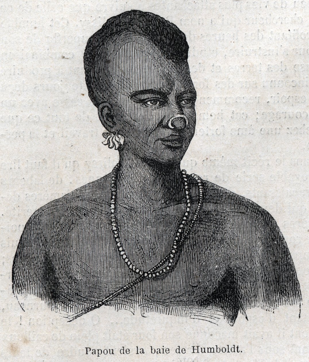 Oprindelige folk i New Guinee (New Guinee): Papua i Humboldt Bay. Gravering i "" L